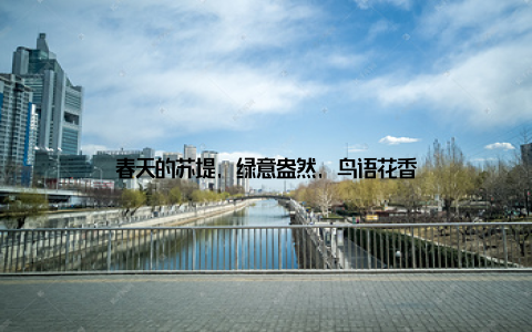 春天的苏堤, 绿意盎然, 鸟语花香