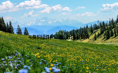 4身份证件户口本、出生证明等