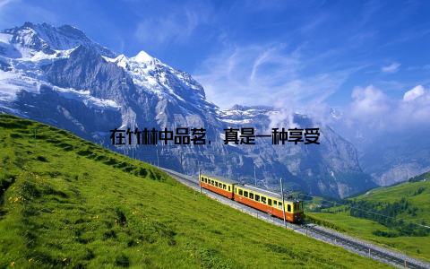 在竹林中品茗, 真是一种享受