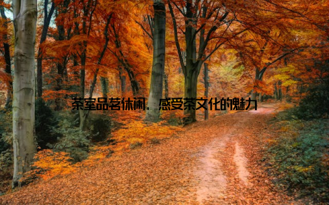 茶室品茗休闲, 感受茶文化的魅力