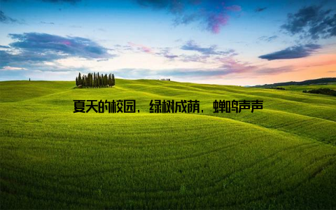 夏天的校园, 绿树成荫, 蝉鸣声声