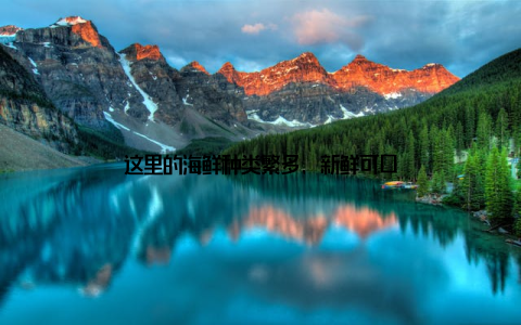 这里的海鲜种类繁多, 新鲜可口