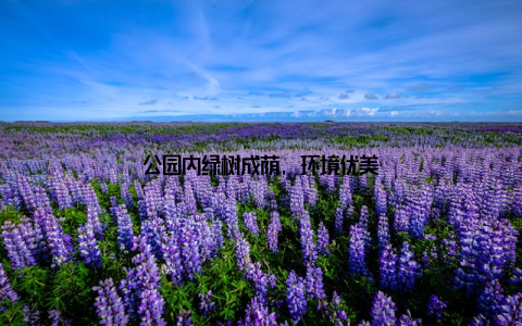 公园内绿树成荫, 环境优美