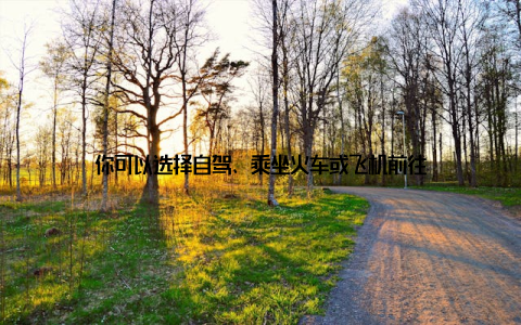 你可以选择自驾、乘坐火车或飞机前往