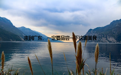 来到广东, 一定要品尝一下这道美食