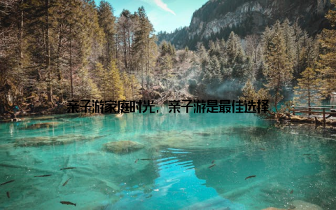 亲子游家庭时光, 亲子游是最佳选择