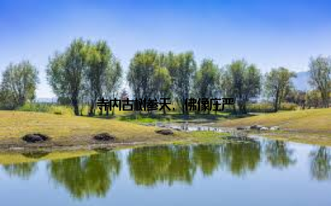 寺内古树参天, 佛像庄严