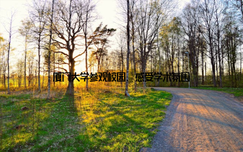 厦门大学参观校园, 感受学术氛围