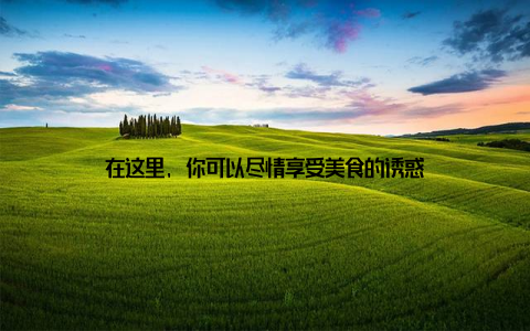 在这里, 你可以尽情享受美食的诱惑