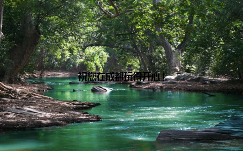 祝您在成都玩得开心!