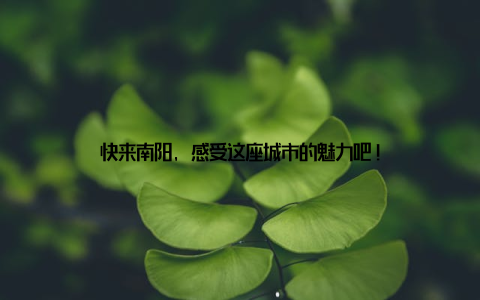 快来南阳, 感受这座城市的魅力吧!