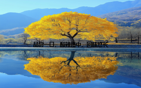 品尝一口, 酸辣适中, 回味悠长