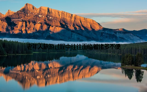 老年人旅游过程中往往面临着诸多不便