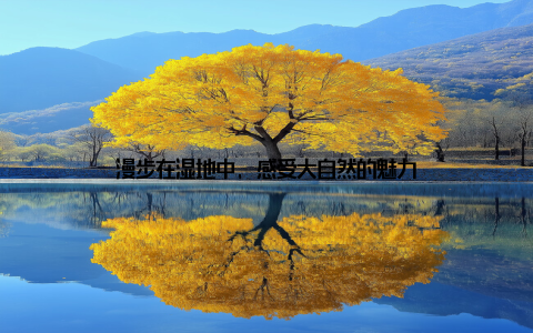 漫步在湿地中, 感受大自然的魅力