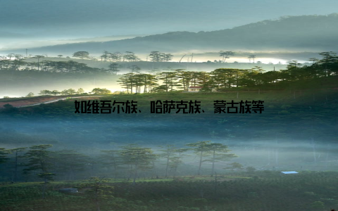 如维吾尔族、哈萨克族、蒙古族等