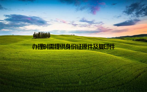 办理时需提供身份证原件及复印件