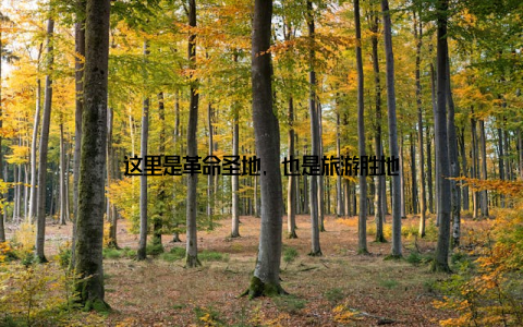 这里是革命圣地, 也是旅游胜地