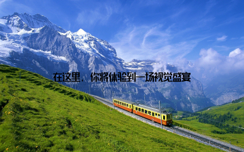 在这里, 你将体验到一场视觉盛宴