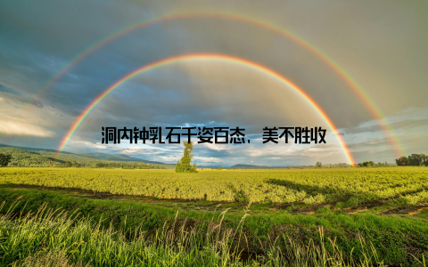 洞内钟乳石千姿百态, 美不胜收