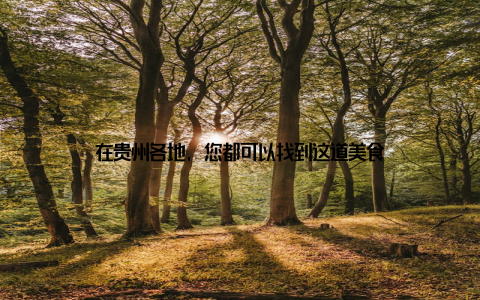 在贵州各地, 您都可以找到这道美食