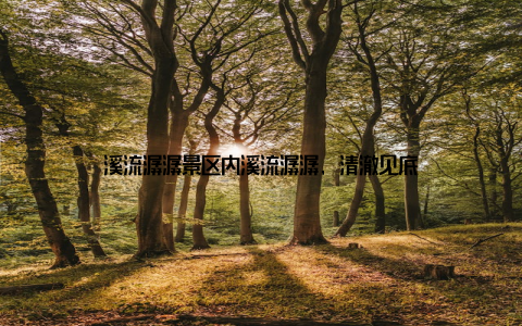 溪流潺潺景区内溪流潺潺, 清澈见底