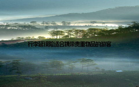 行李延误险适合携带贵重物品的游客